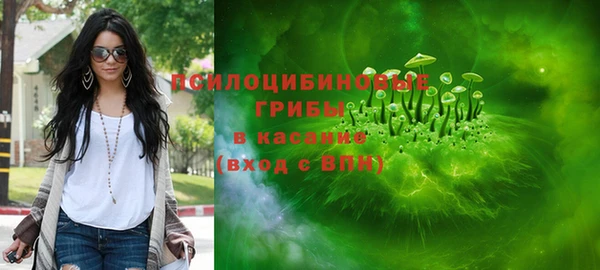 эйфоретик Аркадак