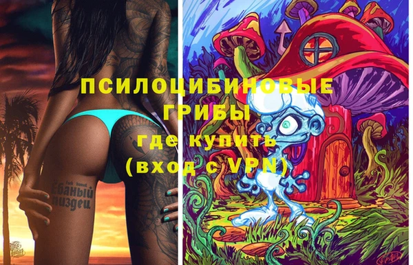 а пвп мука Надым
